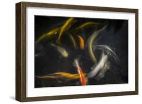 Movement 2-Moises Levy-Framed Photographic Print