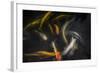 Movement 2-Moises Levy-Framed Photographic Print