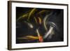 Movement 2-Moises Levy-Framed Photographic Print