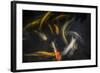 Movement 2-Moises Levy-Framed Photographic Print