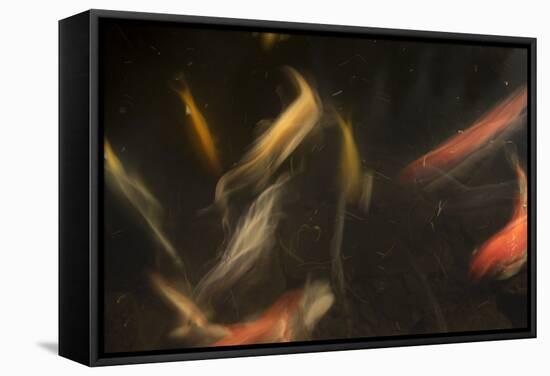 Movement 3-Moises Levy-Framed Stretched Canvas