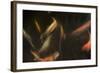 Movement 3-Moises Levy-Framed Photographic Print