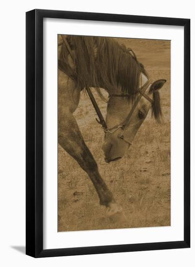 Movement-Amanda Lee Smith-Framed Photographic Print