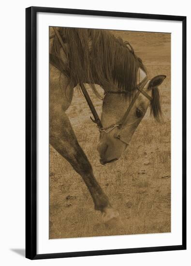 Movement-Amanda Lee Smith-Framed Photographic Print