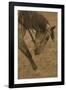 Movement-Amanda Lee Smith-Framed Photographic Print