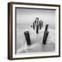 Movement-Moises Levy-Framed Photographic Print