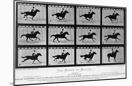 Movements of a Galloping Horse-Eadweard Muybridge-Mounted Giclee Print