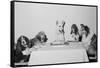 Movie Dog and Friends Celebrating Birthday-null-Framed Stretched Canvas