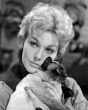 kim novak cat kim novak posters for sale at allposters kim novak cat kim novak posters for sale at allposters