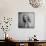 Movie Starlet Marilyn Monroe Posing in Studio-J^ R^ Eyerman-Stretched Canvas displayed on a wall