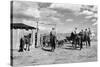 Moving Cattle into Corral-W.H. Shaffer-Stretched Canvas