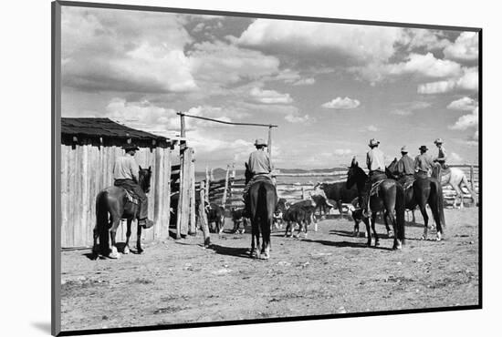 Moving Cattle into Corral-W.H. Shaffer-Mounted Photographic Print