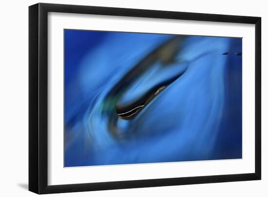 Moving down-Heidi Westum-Framed Photographic Print