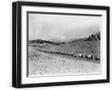 Black Frame