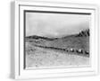 White Frame
