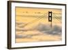 Moving In, Oakland, San Francisco, Golden Gate Bridge Enraptured by Fog-Vincent James-Framed Photographic Print