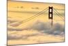 Moving In, Oakland, San Francisco, Golden Gate Bridge Enraptured by Fog-Vincent James-Mounted Photographic Print