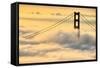 Moving In, Oakland, San Francisco, Golden Gate Bridge Enraptured by Fog-Vincent James-Framed Stretched Canvas
