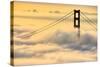 Moving In, Oakland, San Francisco, Golden Gate Bridge Enraptured by Fog-Vincent James-Stretched Canvas