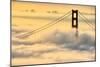 Moving In, Oakland, San Francisco, Golden Gate Bridge Enraptured by Fog-Vincent James-Mounted Photographic Print