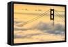 Moving In, Oakland, San Francisco, Golden Gate Bridge Enraptured by Fog-Vincent James-Framed Stretched Canvas