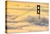 Moving In, Oakland, San Francisco, Golden Gate Bridge Enraptured by Fog-Vincent James-Stretched Canvas