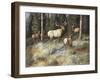 Moving in to Cover-Trevor V. Swanson-Framed Giclee Print