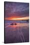 Moving Moody Sunset Seascape, Marshall Beach, San Francisco-Vincent James-Stretched Canvas