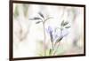 Moving On The Breath Of Spring-Jacob Berghoef-Framed Photographic Print