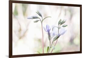 Moving On The Breath Of Spring-Jacob Berghoef-Framed Photographic Print