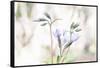Moving On The Breath Of Spring-Jacob Berghoef-Framed Stretched Canvas
