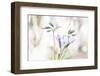 Moving On The Breath Of Spring-Jacob Berghoef-Framed Photographic Print