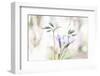 Moving On The Breath Of Spring-Jacob Berghoef-Framed Photographic Print