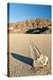 Moving Rock in Death Valley Racetrack-Darek Siusta-Stretched Canvas