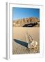 Moving Rock in Death Valley Racetrack-Darek Siusta-Framed Photographic Print