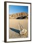 Moving Rock in Death Valley Racetrack-Darek Siusta-Framed Photographic Print