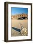 Moving Rock in Death Valley Racetrack-Darek Siusta-Framed Photographic Print