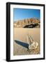 Moving Rock in Death Valley Racetrack-Darek Siusta-Framed Photographic Print