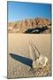 Moving Rock in Death Valley Racetrack-Darek Siusta-Mounted Photographic Print