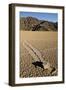 Moving Rocks, Death Valley-Steve Gadomski-Framed Photographic Print