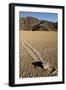 Moving Rocks, Death Valley-Steve Gadomski-Framed Photographic Print