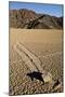 Moving Rocks, Death Valley-Steve Gadomski-Mounted Photographic Print