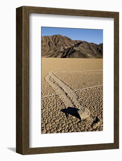 Moving Rocks, Death Valley-Steve Gadomski-Framed Photographic Print