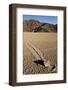 Moving Rocks, Death Valley-Steve Gadomski-Framed Photographic Print