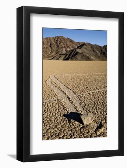 Moving Rocks, Death Valley-Steve Gadomski-Framed Photographic Print