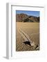 Moving Rocks, Death Valley-Steve Gadomski-Framed Photographic Print