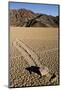 Moving Rocks, Death Valley-Steve Gadomski-Mounted Photographic Print