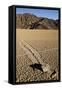 Moving Rocks, Death Valley-Steve Gadomski-Framed Stretched Canvas