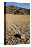 Moving Rocks, Death Valley-Steve Gadomski-Stretched Canvas