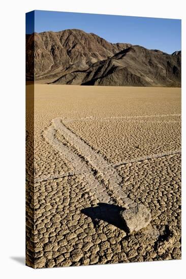 Moving Rocks, Death Valley-Steve Gadomski-Stretched Canvas